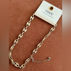 NWT POSH gold Chain Necklace